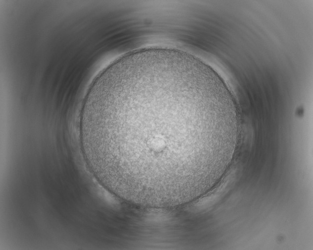 X0000116510807201001201444