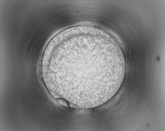 X0000116510808201001201444
