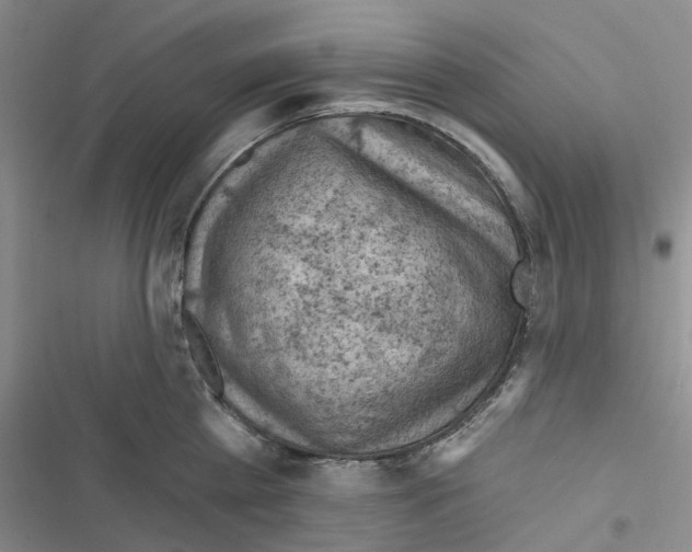X0000116510809201001201444