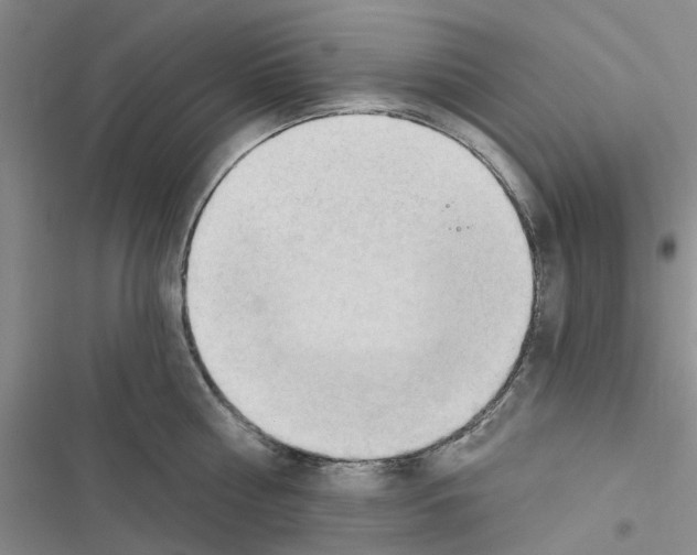 X0000116510810201001201444