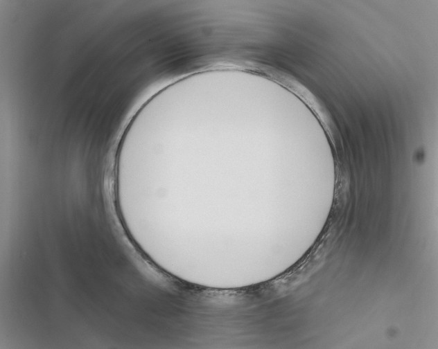 X0000116510811201001201444