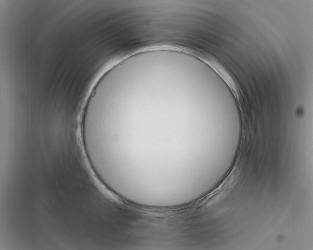 X0000116510813201001201444