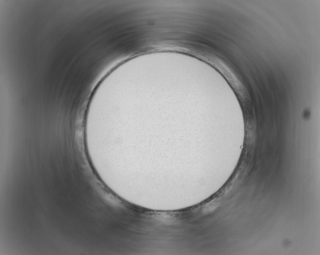 X0000116510814201001201444