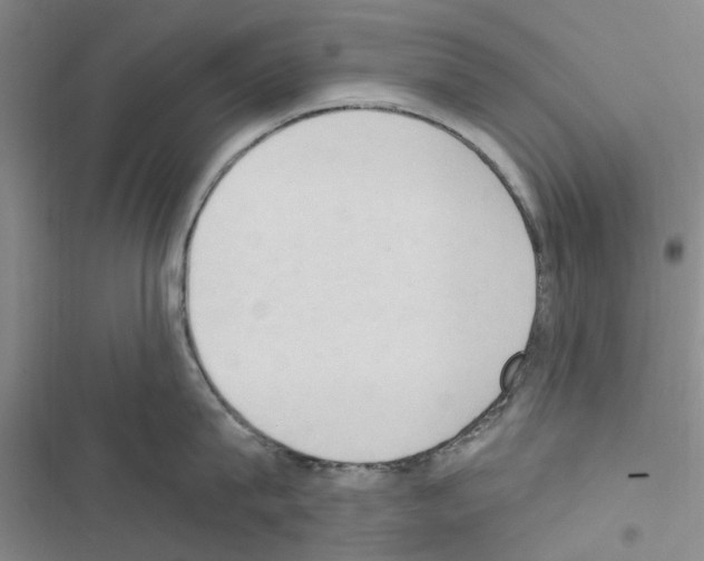X0000116510815201001201444