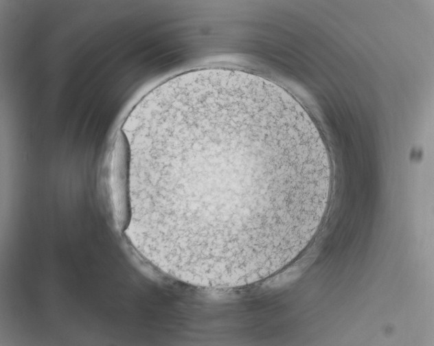 X0000116510816201001201444