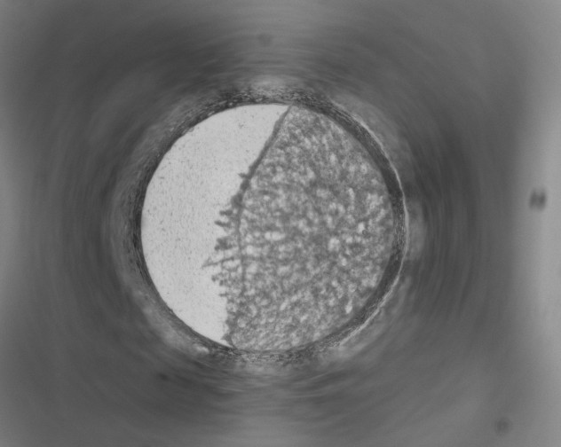 X0000116510817201001201443