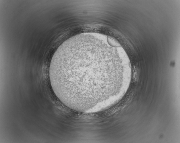 X0000116510819201001201443