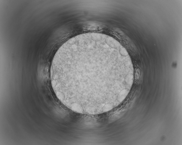X0000116510820201001201443