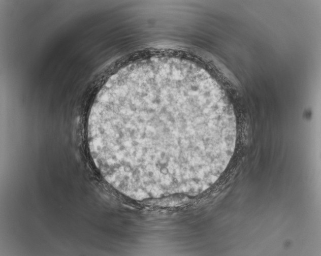 X0000116510821201001201443
