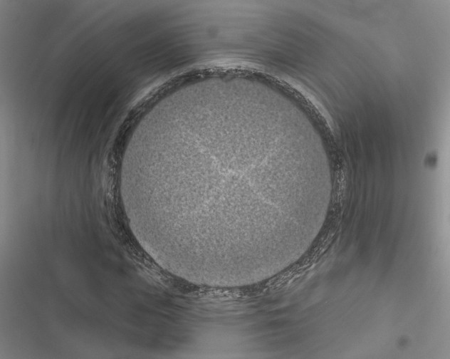 X0000116510823201001201443