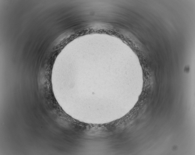 X0000116510824201001201443