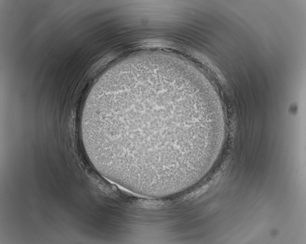 X0000116510825201001201443