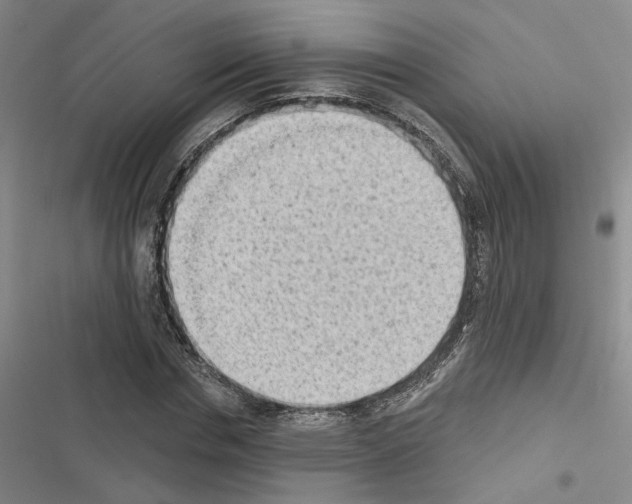 X0000116510826201001201443