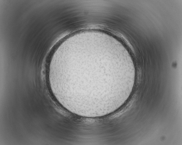 X0000116510827201001201443
