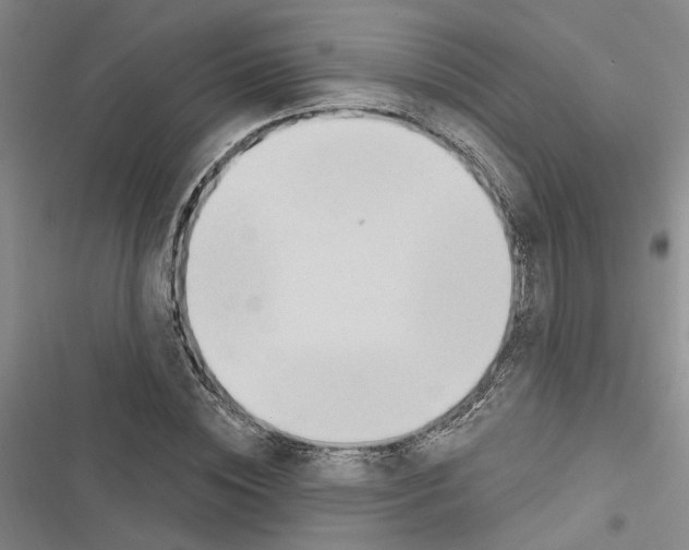 X0000116510828201001201443