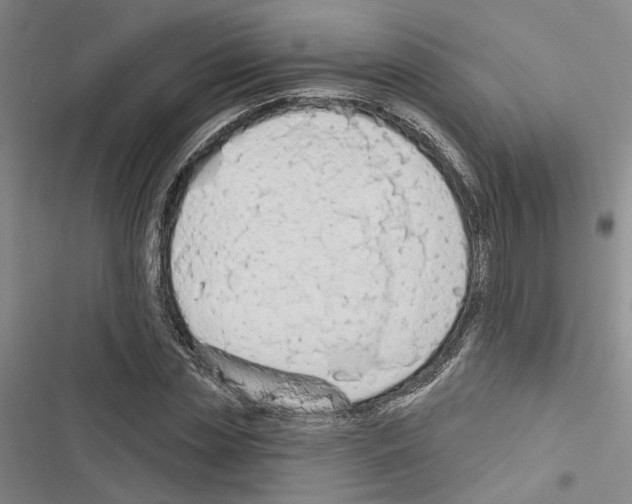 X0000116510829201001201443