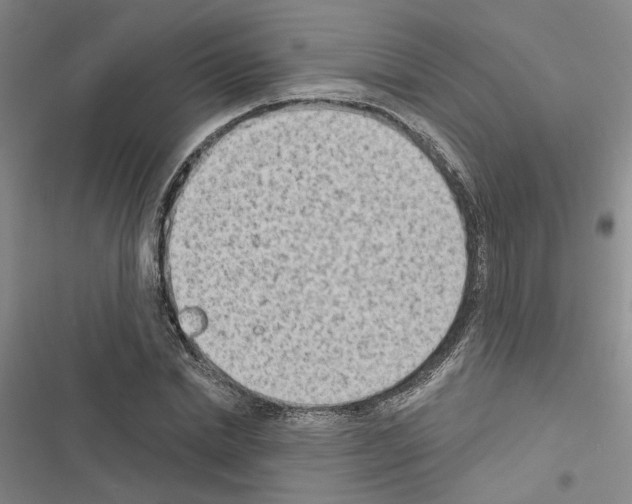 X0000116510830201001201443