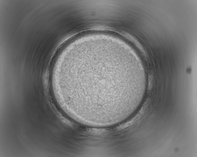 X0000116510831201001201443