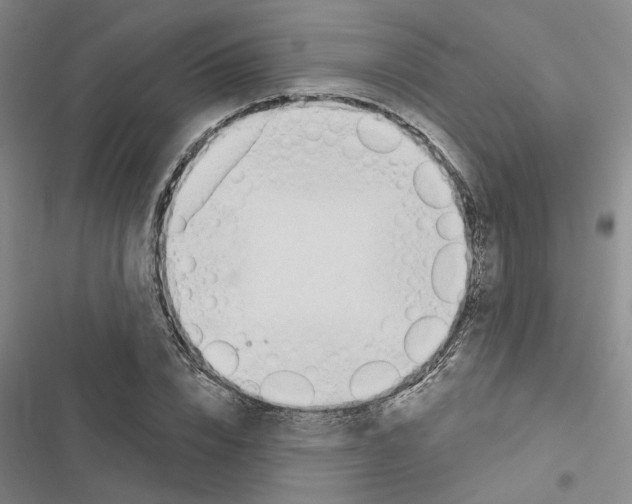 X0000116510832201001201443