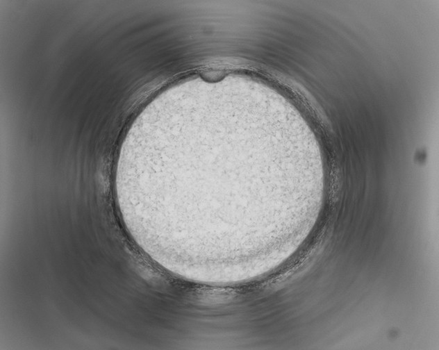 X0000116510833201001201443