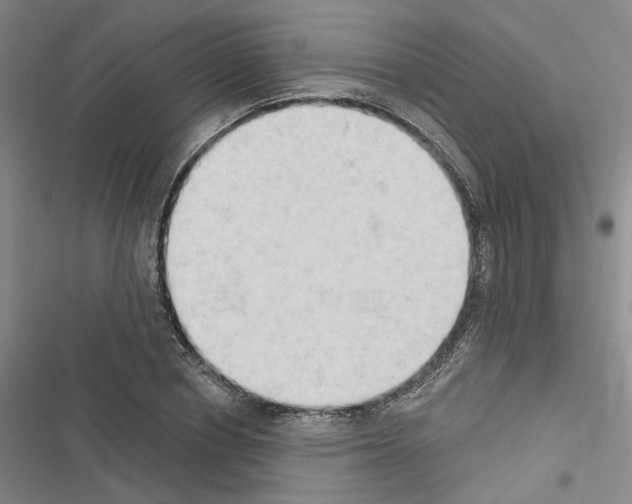 X0000116510834201001201443
