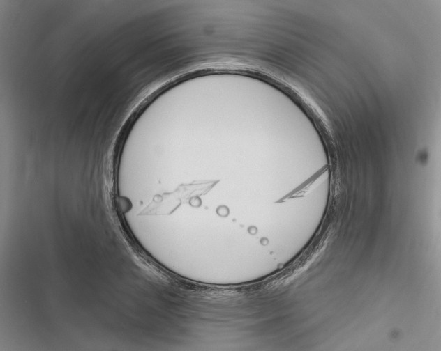 X0000116510837201001201443