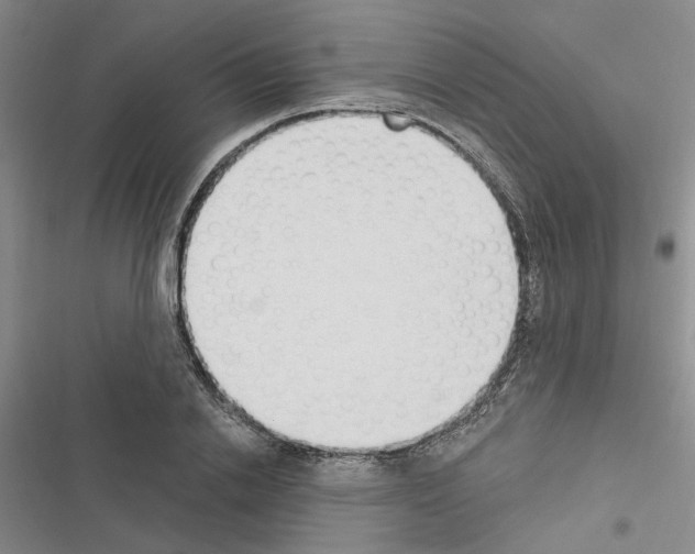X0000116510838201001201443
