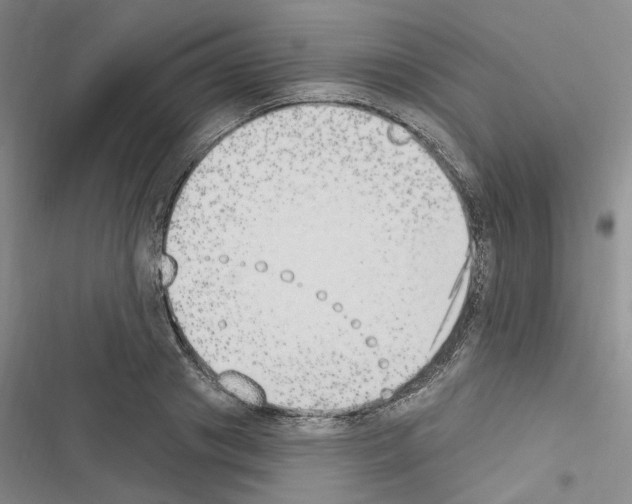 X0000116510841201001201443