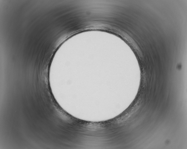 X0000116510842201001201443