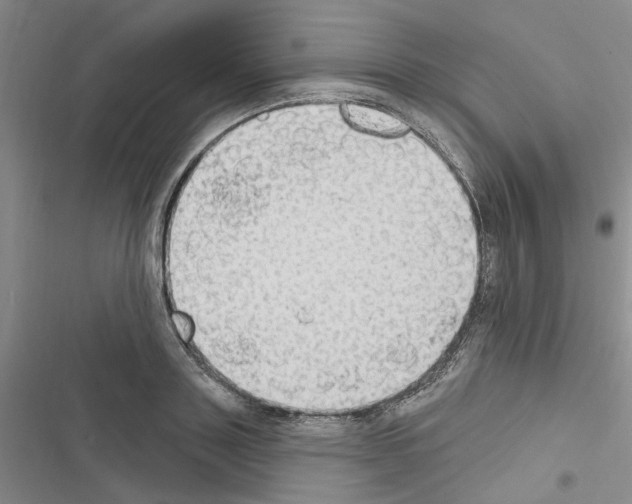 X0000116510843201001201443