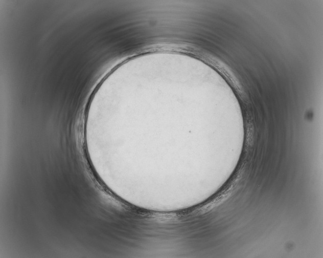 X0000116510844201001201443