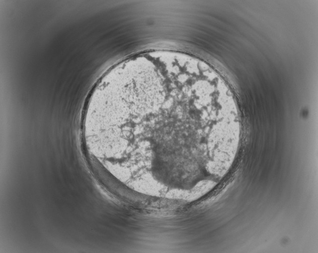 X0000116510845201001201443