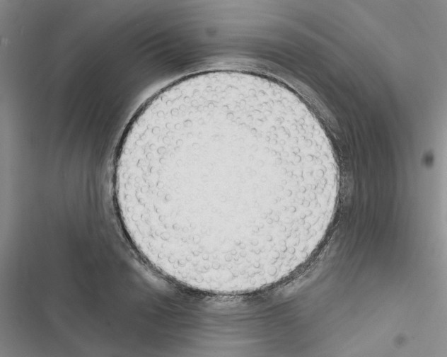 X0000116510846201001201443
