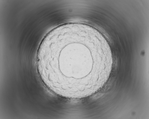 X0000116510848201001201443