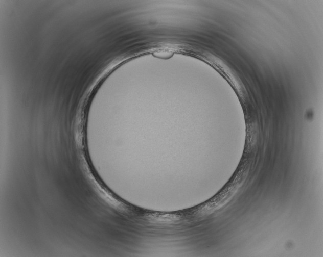 X0000116510851201001201443