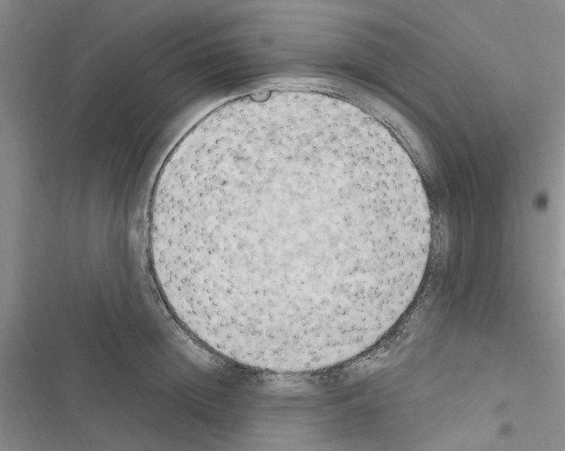 X0000116510852201001201443