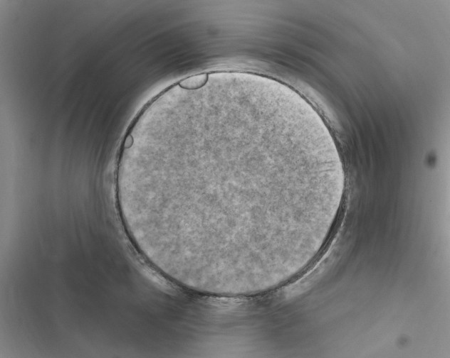 X0000116510854201001201443