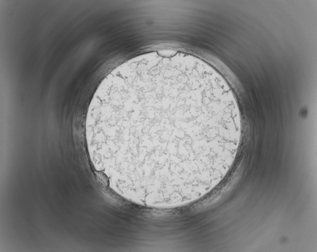 X0000116510857201001201443