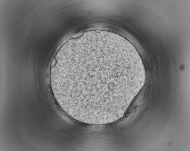 X0000116510858201001201444