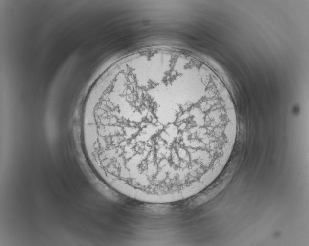 X0000116510859201001201444