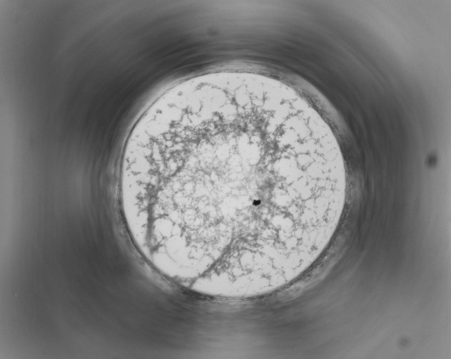 X0000116510860201001201444