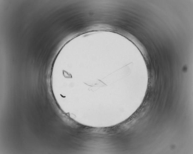 X0000116510861201001201444