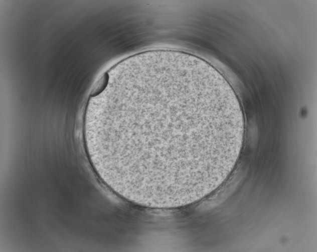 X0000116510862201001201444