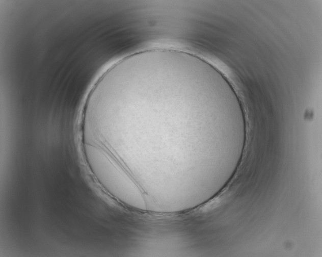 X0000116510864201001201444