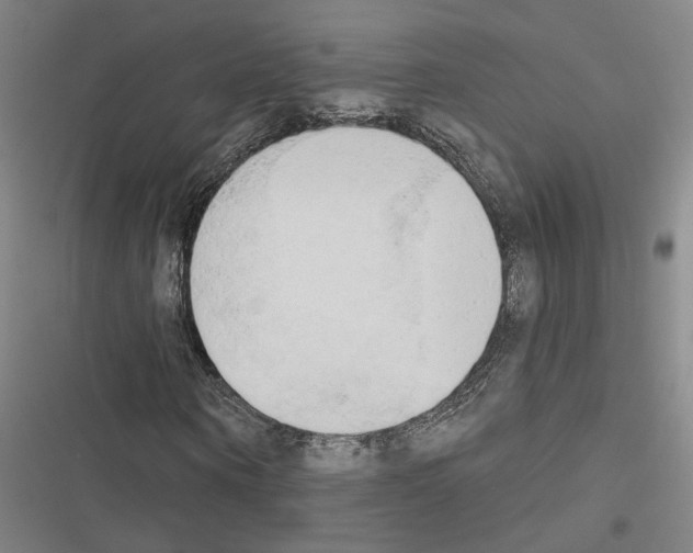 X0000116510866201001201443
