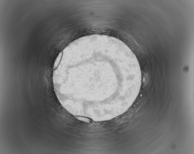 X0000116510867201001201443