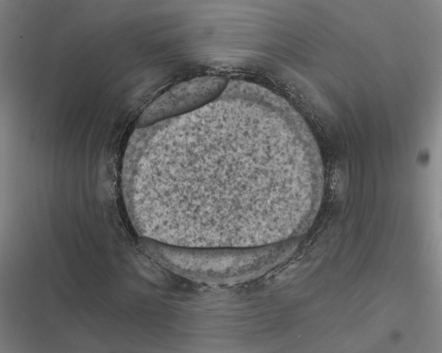 X0000116510868201001201443
