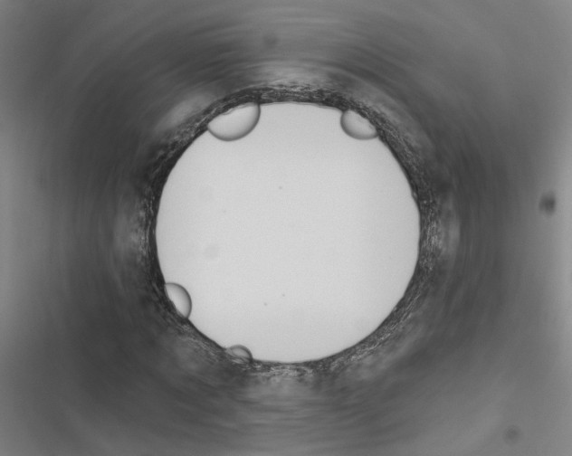 X0000116510869201001201443