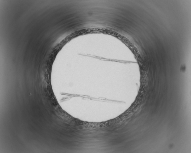 X0000116510871201001201443