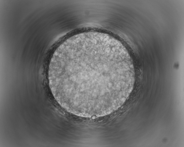 X0000116510872201001201443